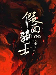 假面骑士LYNX假面骑士LYNX