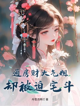 小说 通房